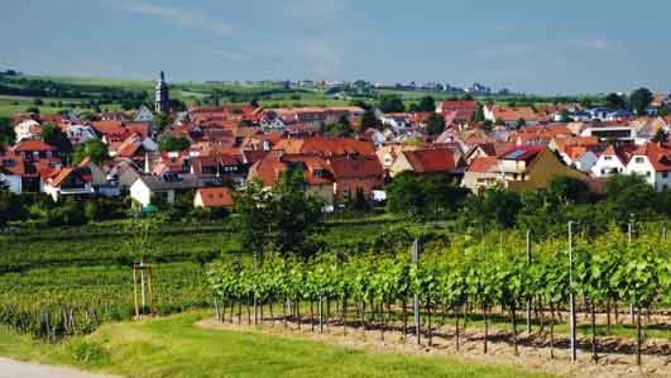 Fest-der-100-weine Kallstadt