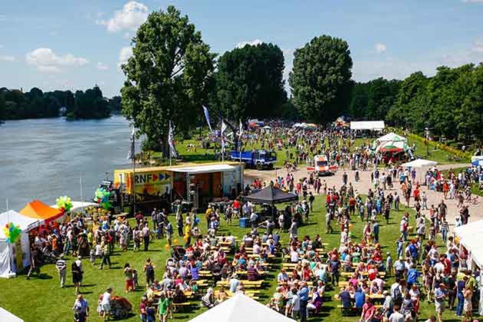 Neckarwiese