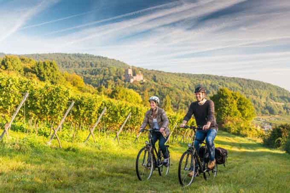 2 Radfahrer in den Weinbergen