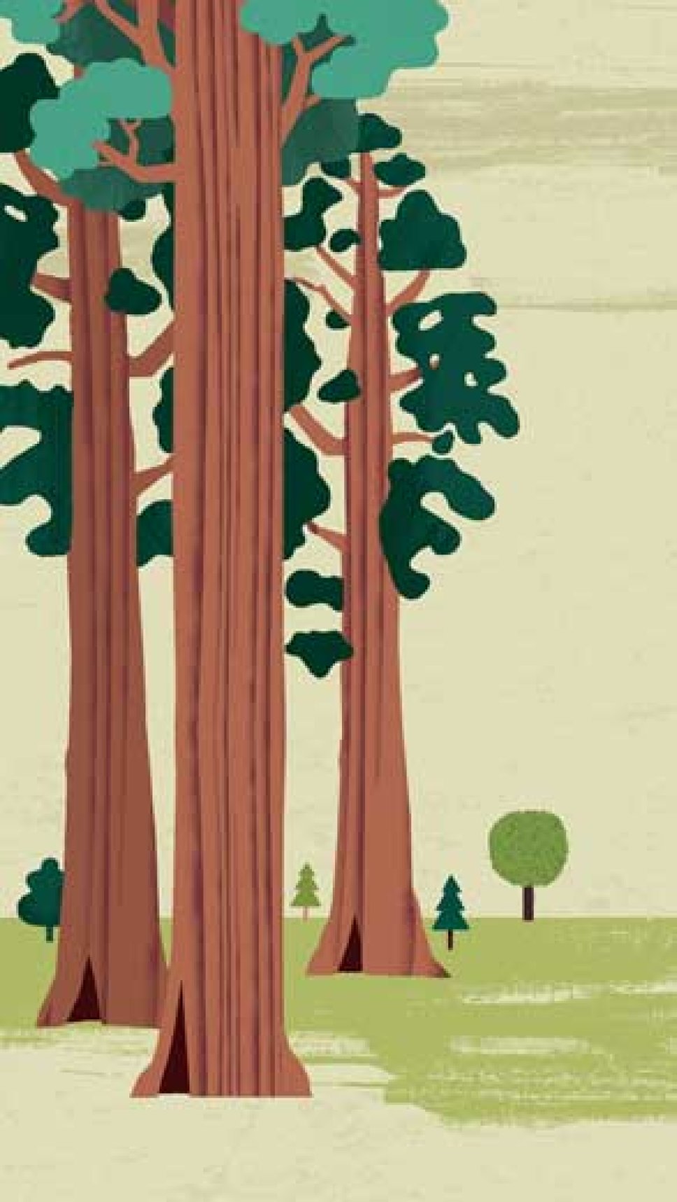 Illustration von Bäumen