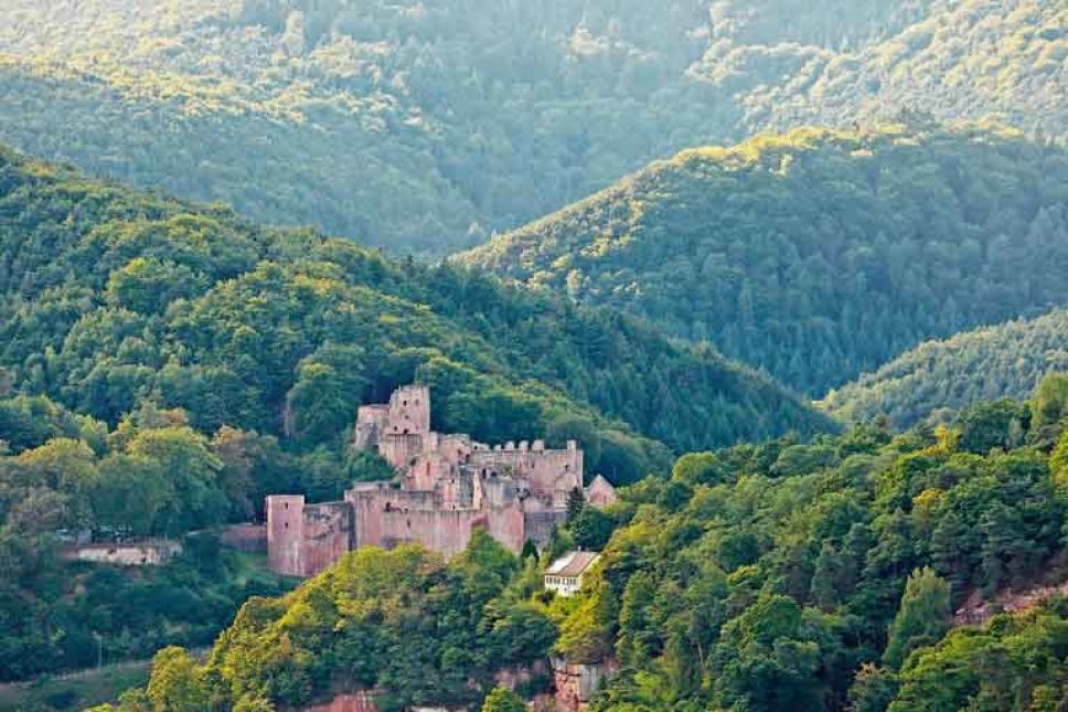 Blick auf den Pfälzer Wald
