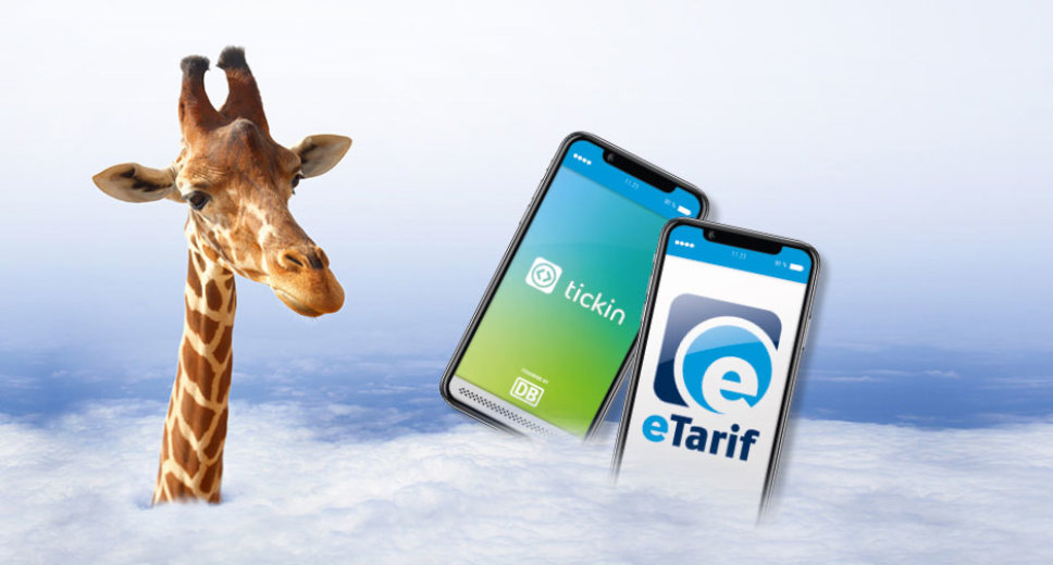 Giraffe mit dem Kopf über den Wolken