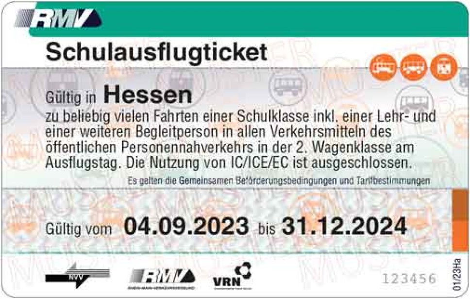 Abbildung des Tickets