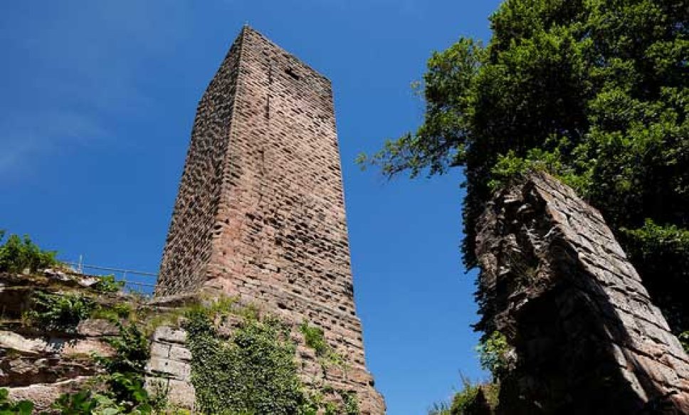 Burgruine Scharfenberg